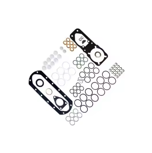 Hot Selling Common Rail Injection Pump Repair Kit  2417010045 Fuel Injection Pump Repair KIT 800619 for Fuel Injection Pump