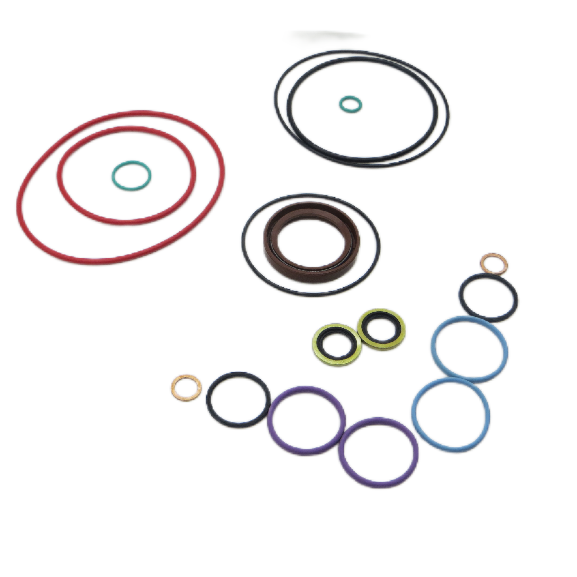 diesel Injector Tools for CP2.2 High Pressure Common Rail Pump Repair Kit for diesel Fuel Engine