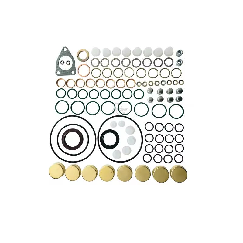 Injector Repair Kits 800717 800474 for Fuel Pumps Gasket Kit Factory Price