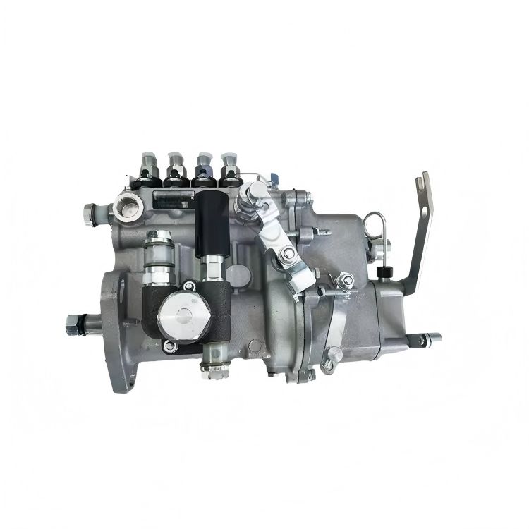 4IW2155 Fuel Injection Pump Assembly BHF4IW085030 for diesel Engine